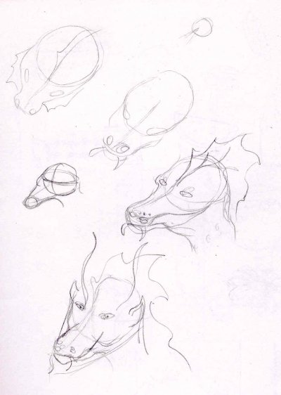 Dragon Head Sketches