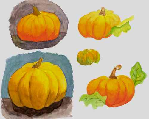 Pumpkin Studies - Not drawn from life.